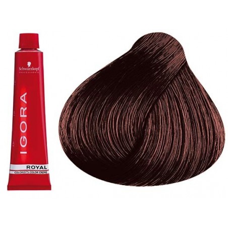 Coloration Igora Royal 6.6 - Schwarzkopf (60ml)