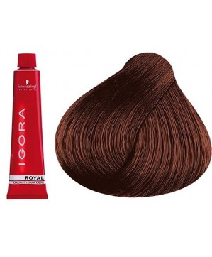 Coloration Igora Royal 6.68 - Schwarzkopf (60ml)