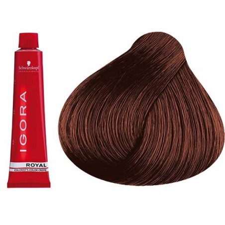 Coloration Igora Royal 6.68 - Schwarzkopf (60ml)