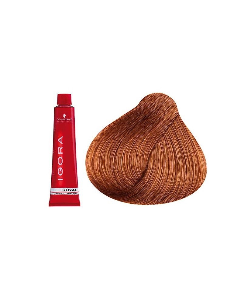 Coloration Igora Royal 7.77 - Schwarzkopf (60ml)