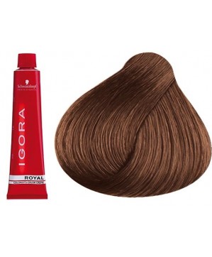 Coloration Igora Royal 7.57 - Schwarzkopf (60ml)