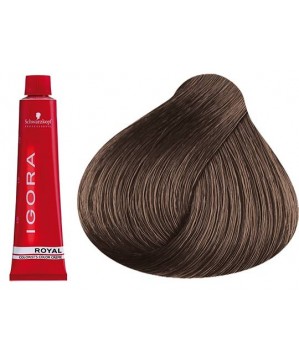 Coloration Igora Royal 8.1 - Schwarzkopf (60ml)