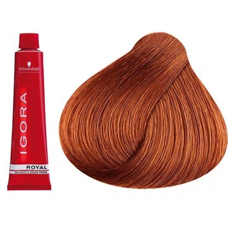 Coloration Igora Royal 8.77 - Schwarzkopf (60ml)