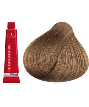 Coloration Igora Royal 8.65 - Schwarzkopf (60ml)