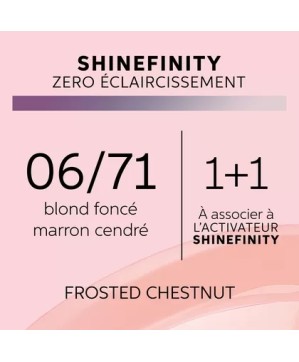 06/71 - FROSTED CHEST - COLORATION SHINEFINITY - (60ml)