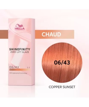 06/43 - COPPER SUNSET - COLORATION SHINEFINITY - (60ml)