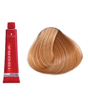 Coloration Igora Royal 9.5-17 - Schwarzkopf (60ml)