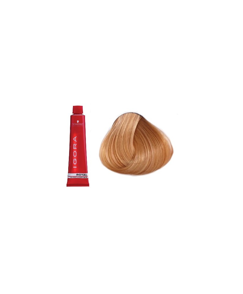 Coloration Igora Royal 9.5-17 - Schwarzkopf (60ml)