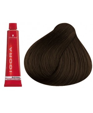 Coloration Igora Royal 5.00 - Schwarzkopf (60ml)