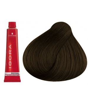 Coloration Igora Royal 6.00 - Schwarzkopf (60ml)