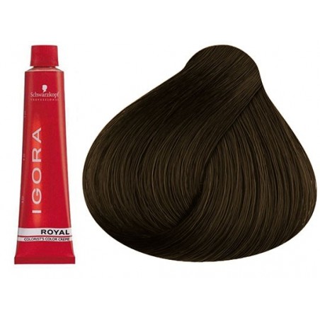 Coloration Igora Royal 6.00 - Schwarzkopf (60ml)