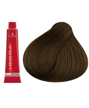 Coloration Igora Royal 7.00 - Schwarzkopf (60ml)