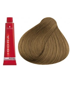 Coloration Igora Royal 8.00 - Schwarzkopf (60ml)