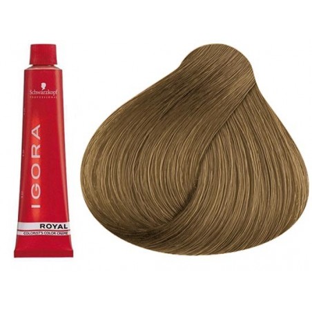 Coloration Igora Royal 8.00 - Schwarzkopf (60ml)