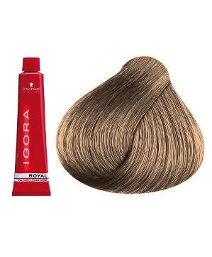 Coloration Igora Royal S8 9.4 - Schwarzkopf