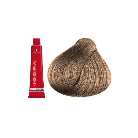 Coloration Igora Royal S8 9.4 - Schwarzkopf