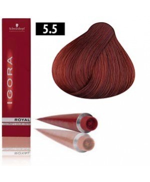 Coloration Igora Royal G4 5.5  - Schwarzkopf