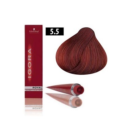 Coloration Igora Royal G4 5.5  - Schwarzkopf