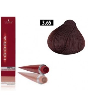 Coloration Igora Royal W2 3.65 - Schwarzkopf