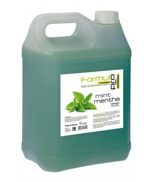 Shampoing Menthe (5L) - Formul Pro