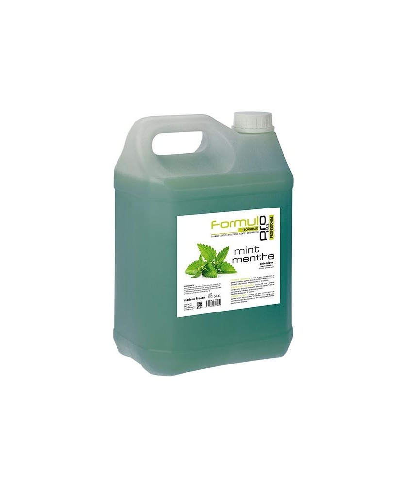 Shampoing Menthe (5L) - Formul Pro