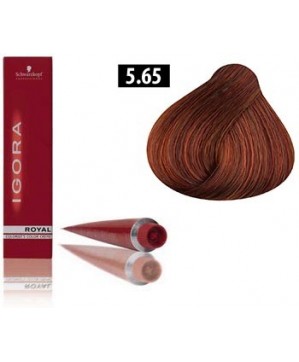 Coloration Igora Royal W4 5.65 - Schwarzkopf