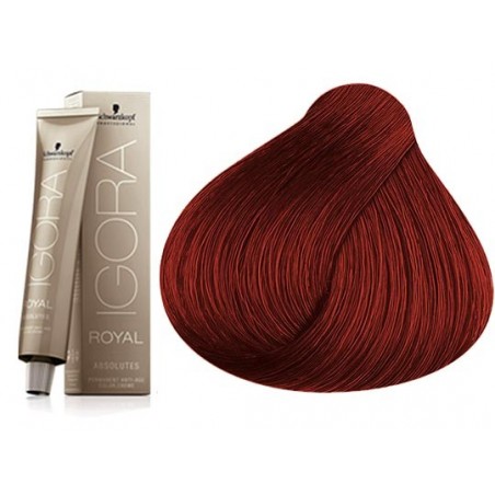 Coloration Igora Royal Absolutes 6.60 -Schwarzkopf