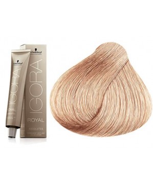 Coloration Igora Royal Absolutes 7.70 -Schwarzkopf