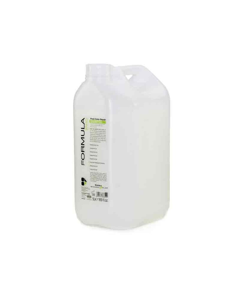 Shampoing Pro Repair (cheveux colorés) (5L)