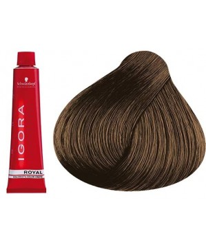 Coloration Igora Royal 6.63 - Schwarzkopf (60ml)