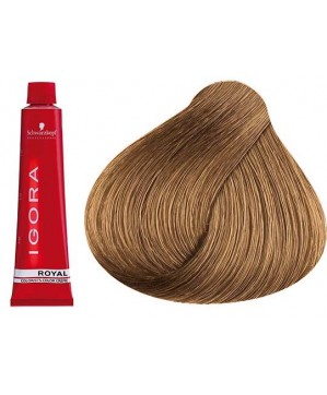 Coloration Igora Royal 9.55 - Schwarzkopf (60ml)