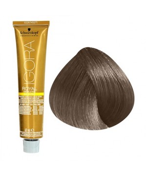 Coloration Igora Royal Absolutes 6.50 -Schwarzkopf