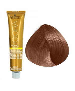 Coloration Igora Royal Absolutes 7.710-Schwarzkopf