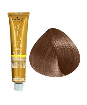 Coloration Igora Royal Absolutes 7.450-Schwarzkopf