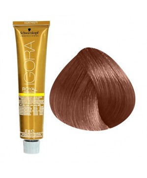 Coloration Igora Royal Absolutes 7.560-Schwarzkopf