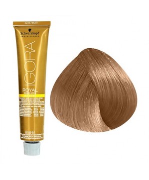 Coloration Igora Royal Absolutes 9.560-Schwarzkopf