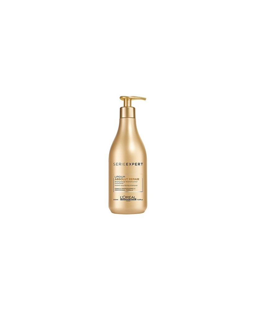 Shampoing Abs Lipidium (500ml) - L'Oréal Pro