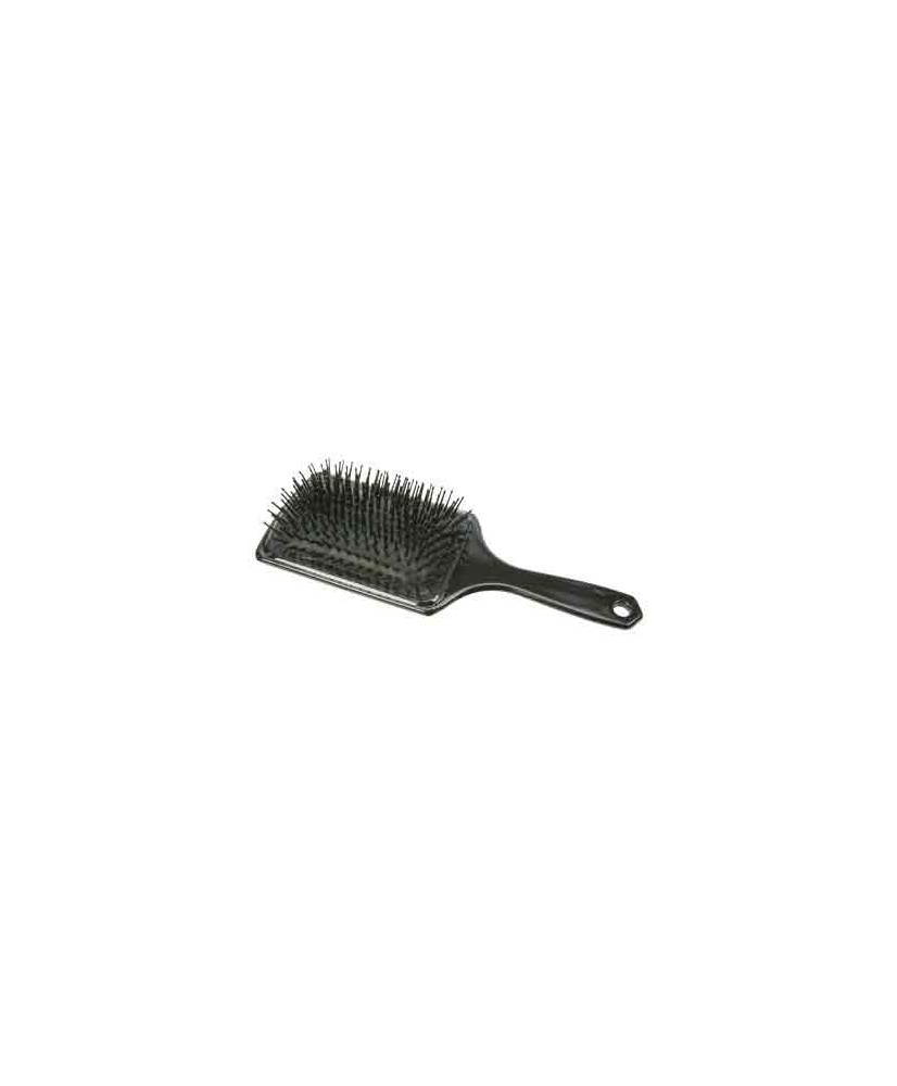 Brosse pneumatique - CENTAURE  Professionnel