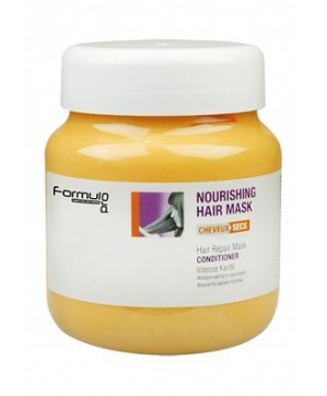 Masque Integral Repair Cheveux Secs (750ml) - IB