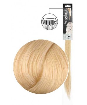 Mèche Ag-Ct Remyhair Clip 22 10.03  3Cm 45Cm X1