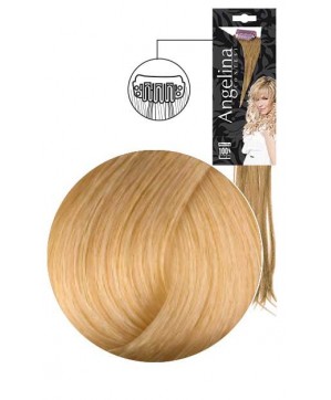 Mèche Ag-Ct Remyhair 3 Clip 18-9,3  15X45Cmx1