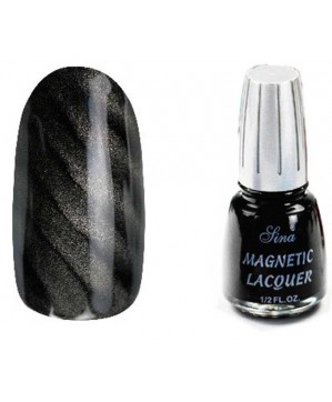 Magnetic Lacquer (14ml) Anthracit 13 - SINA