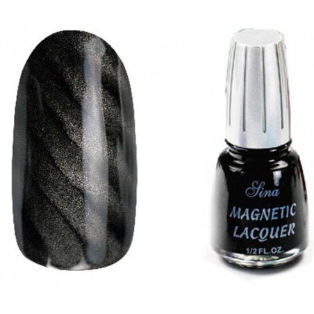 Magnetic Lacquer (14ml) Anthracit 13 - SINA