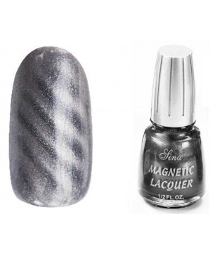 Magnetic Lacquer (14ml) Silver 17 - SINA