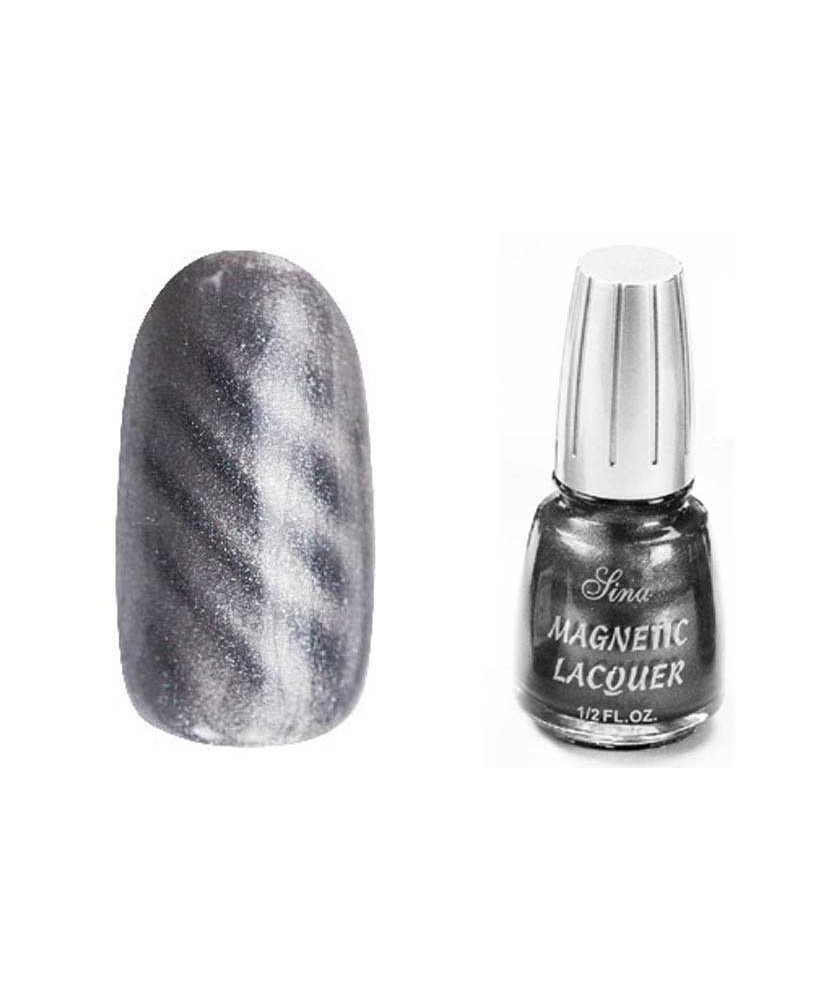 Magnetic Lacquer (14ml) Silver 17 - SINA