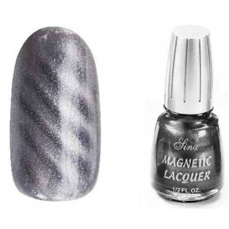 Magnetic Lacquer (14ml) Silver 17 - SINA