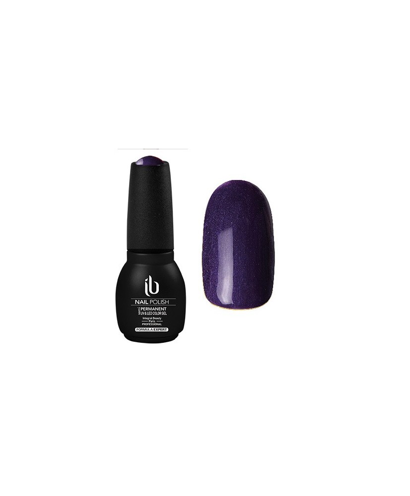 Gel/Vernis Formula Expert (14ml) Pourpre - IB