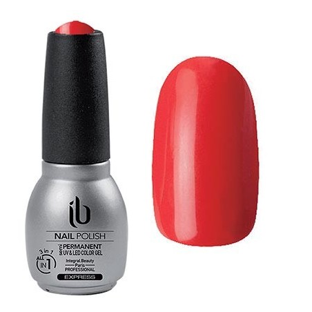 Gel/Vernis All-In-1 (14ml) Color Aster - IB