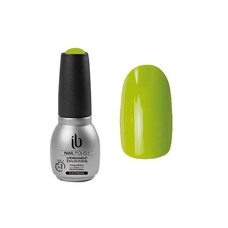 Gel/Vernis All-In-1 (14ml) Color Erable - IB