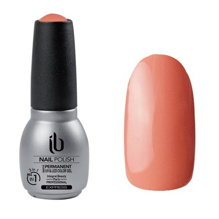 Gel/Vernis All-In-1 (14ml) Color CHAIR - IB